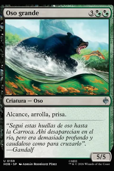 Oso grande