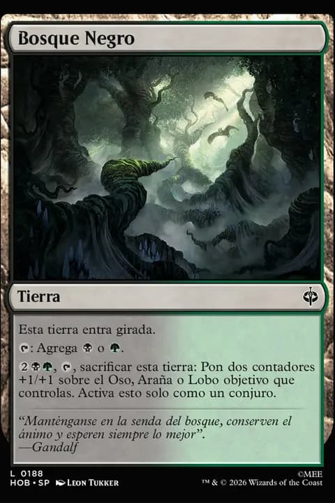 Bosque Negro