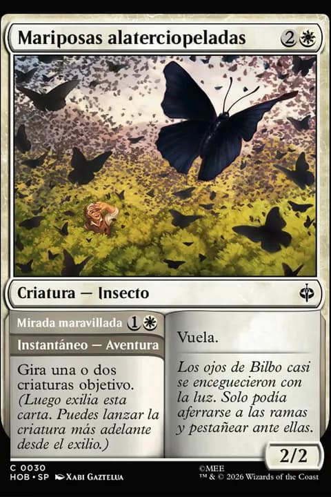 Velvetwing Butterflies // Gaze in Wonder