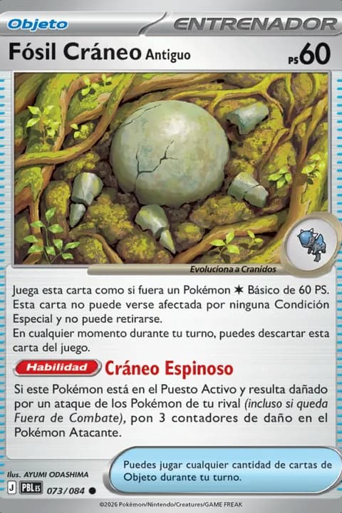 Fósil Cráneo Antiguo